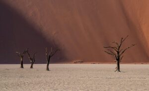 Deadvlei – Namibia
